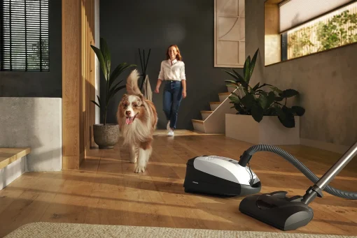 Classic C1 Cat & Dog Powerline Sbbn0-Miele Best